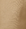 Jute