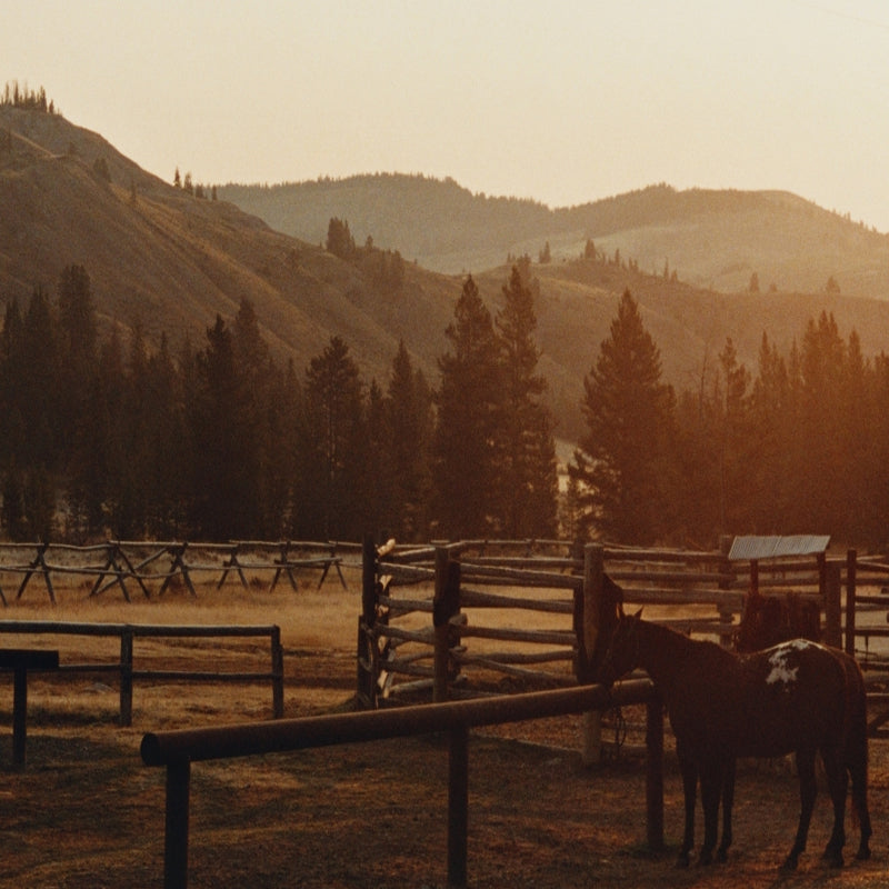 DESTINATION: BIG SKY, MONTANA
