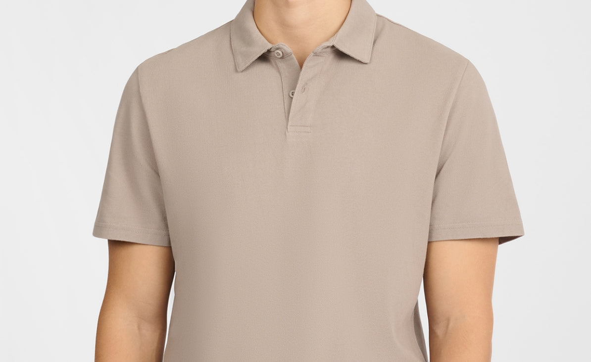 Fall 2025 Cashew