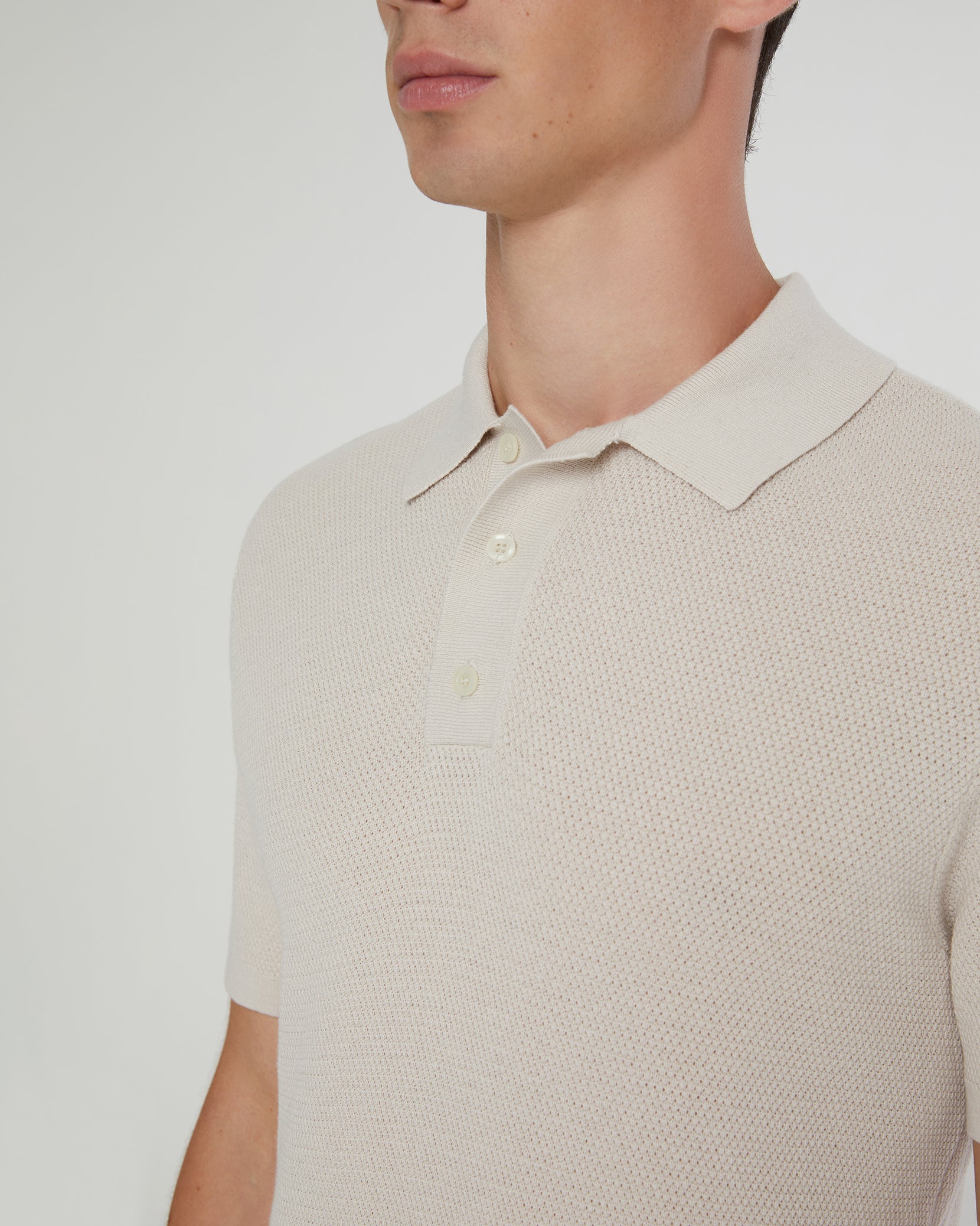 Cotton Textured Knit Polo