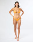 Apricot