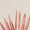 Tan Multi Printed Palmettos
