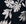 Navy White