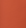 Orange Coral