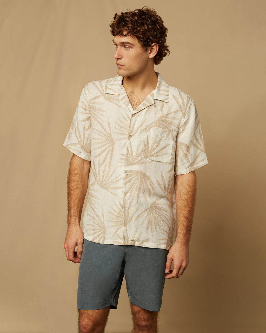 Sand White Sun Palm
