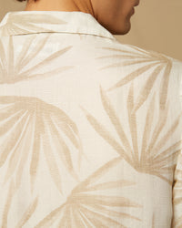 Sand White Sun Palm