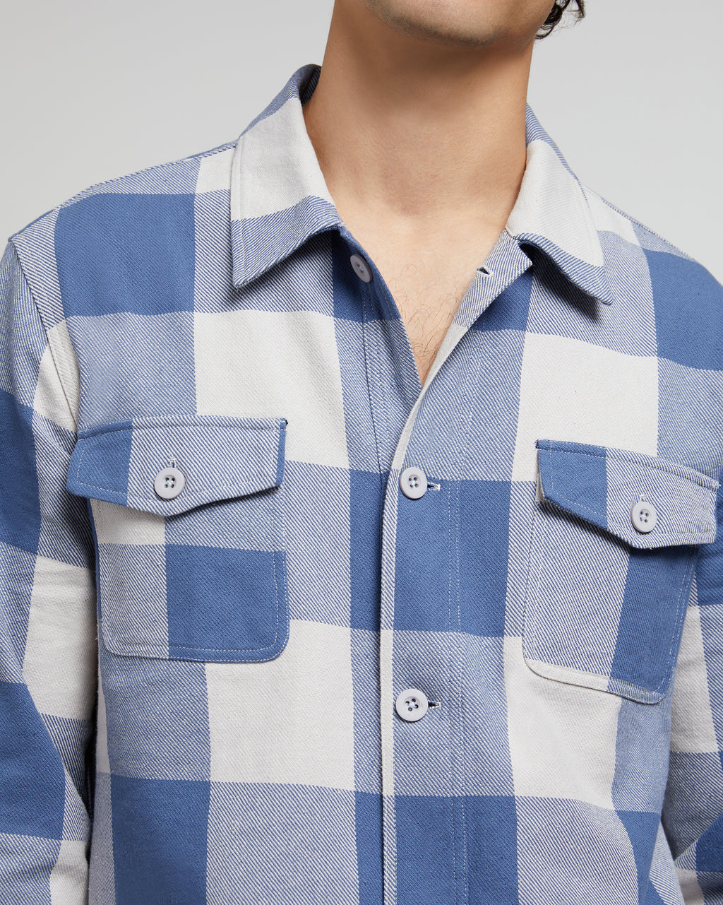 Vintage Blue Buffalo Plaid